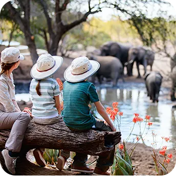 Lodges et safaris green